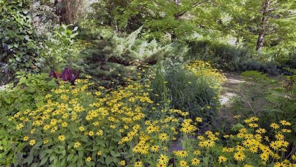 En Gironde, voyage en couleurs au jardin du Fond de l’Or