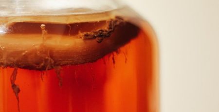 Fermentation / photo Tim-Oliver Metz / Unsplash
