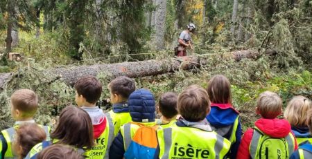 Dans 1000 communes, la forêt fait école