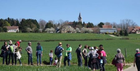 Idées Asso zone rurale