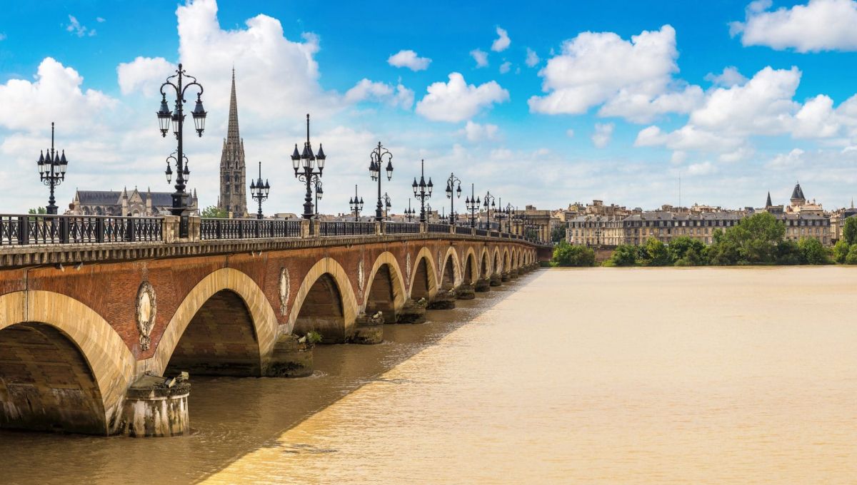 Bordeaux : 350 participants pour franchir la Garonne à la nage