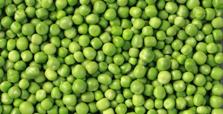 green pea background