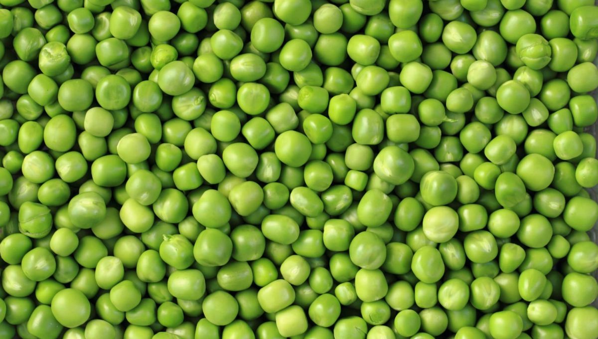 green pea background