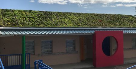L’innovation Greenskin pour végétaliser les bâtiments