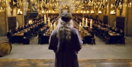 harry-potter-les-animaux-fantastiques-2-les.jpg