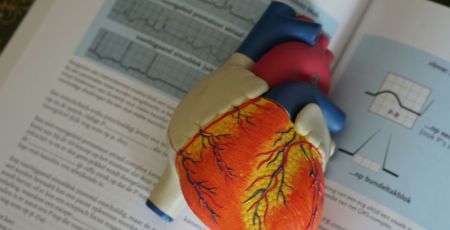 Santé : comment améliorer la santé cardiovasculaire des Français ?