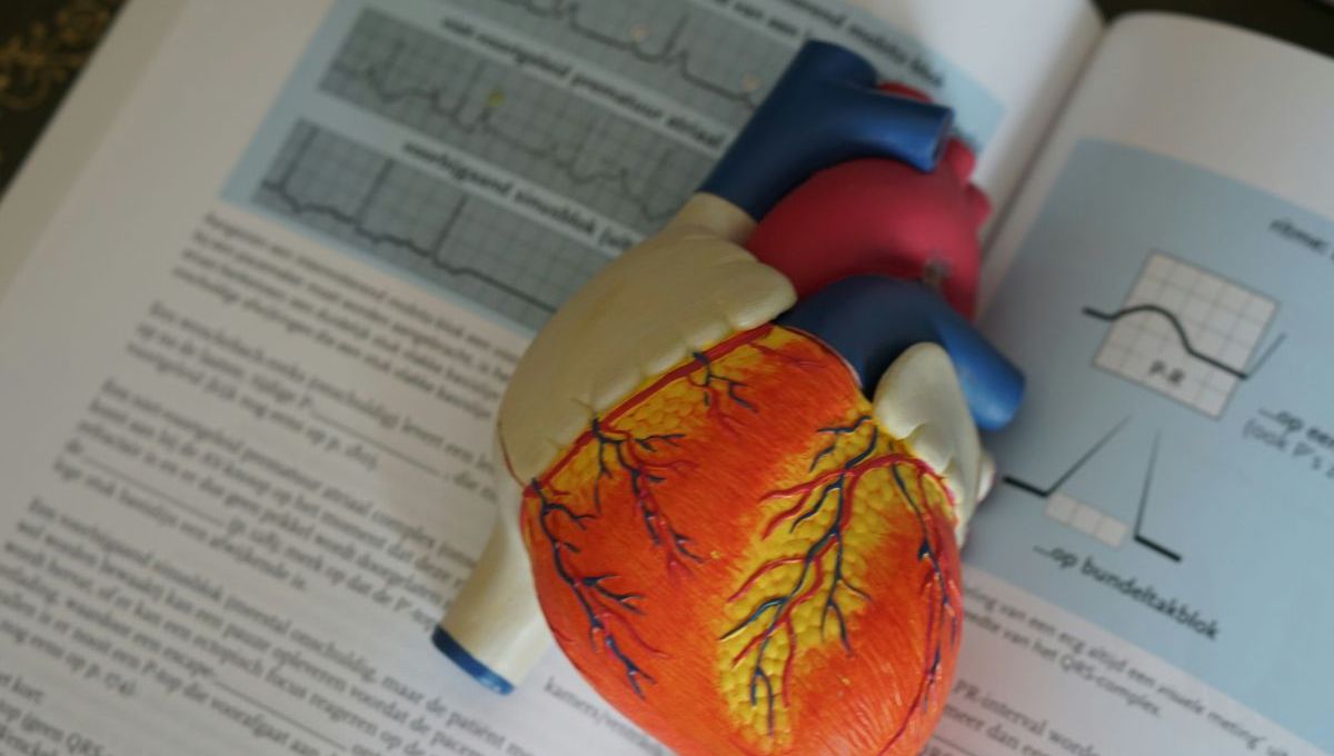 Santé : comment améliorer la santé cardiovasculaire des Français ?