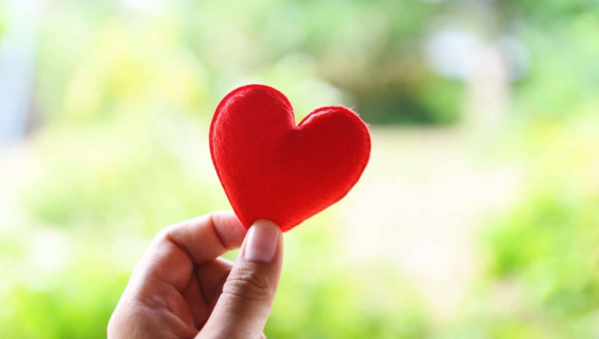 heart on hand for philanthropy concept - woman holding red heart in hands for valentines day or donate help give love warmth take care
