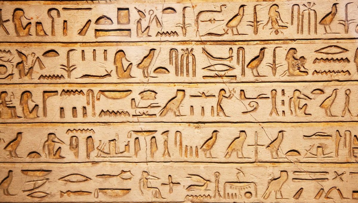 Expo : Retour sur la compréhension des hiéroglyphes par Champollion