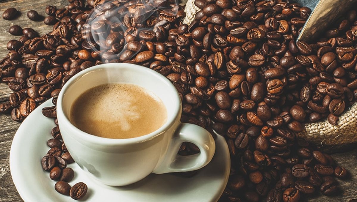 image_cafe.jpeg
