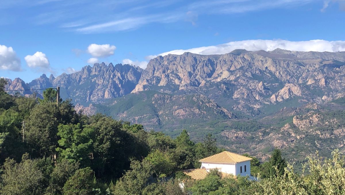 image_corse.jpg