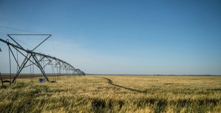 Weenat permet aux agriculteurs de mieux gérer leur irrigation