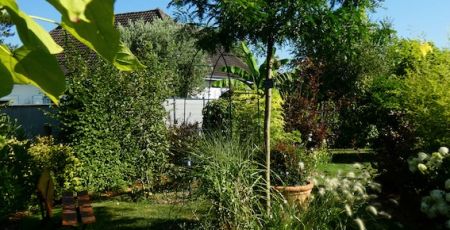 Le jardin d'Elf