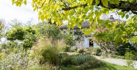 le jardin sous le ciel
