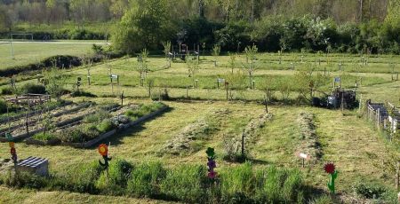 Jardiner au naturel grâce à l’agroécologie avec Jardin Nature Pibrac