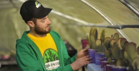 Jessy, jardinier paysagiste, cultive près de 7000 cactus en Normandie 