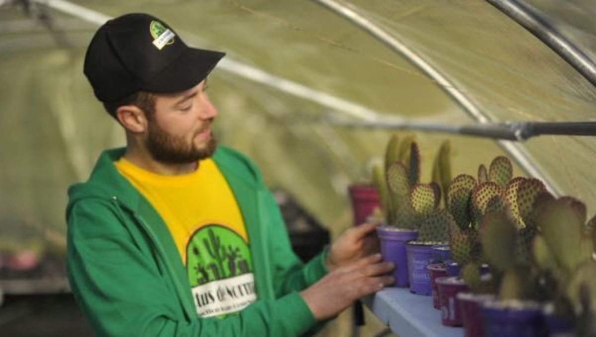 Jessy, jardinier paysagiste, cultive près de 7000 cactus en Normandie 