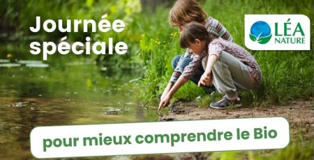 Enfants au bord d'un ruisseau - source : Adobe Stock