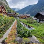 La cordée de légumes : cultiver des fruits et légumes en bio à 1000m d’altitude