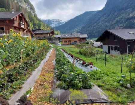 La cordée de légumes : cultiver des fruits et légumes en bio à 1000m d’altitude