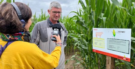 labyrinthe mais bretagne ferme