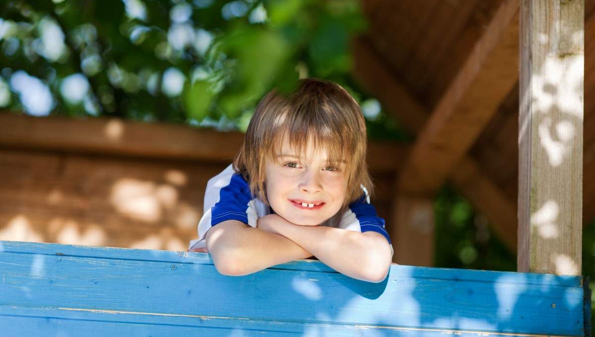 Enfant souriant dans une cabane dans les arbres - crédit photo : contrastwerkstatt via Adobe Stock