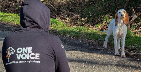L’asso One Voice rugit pour les sans-voix sans jamais utiliser la violence