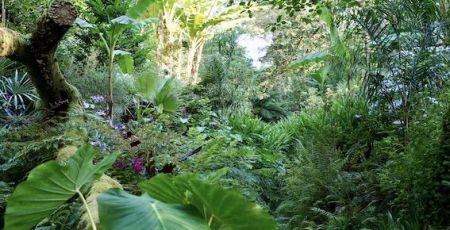 Le jardin des Barthes