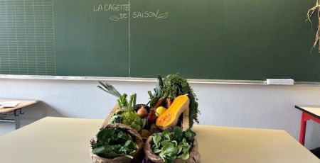 L’école comestible : faire aimer les légumes aux enfants