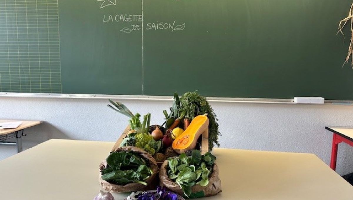 L’école comestible : faire aimer les légumes aux enfants