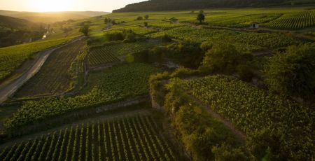 Les Climats du vignoble de Bourgogne célèbrent un événement important