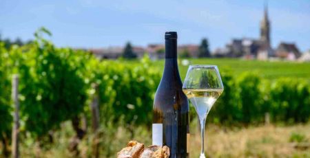 Les vignobles de Loire veulent réemployer 3 millions de bouteilles