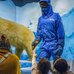 Lyon : Découvrir les capacités étonnantes des animaux avec l’expo Trop Forts !