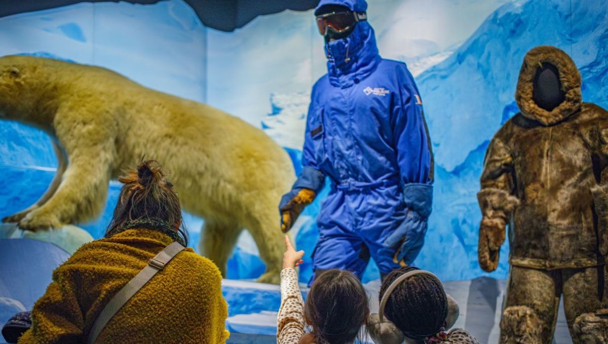 Lyon : Découvrir les capacités étonnantes des animaux avec l’expo Trop Forts !
