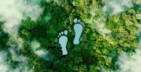 Environnement : Comment calculer son empreinte carbone ?