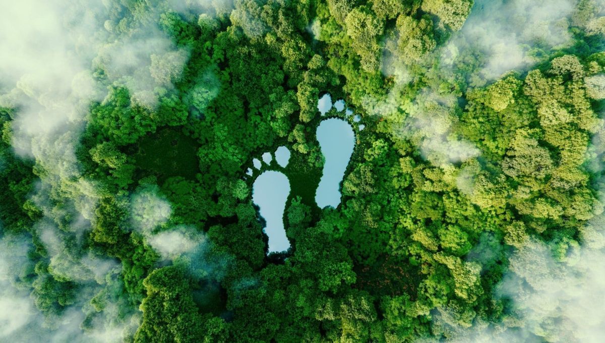Environnement : Comment calculer son empreinte carbone ?