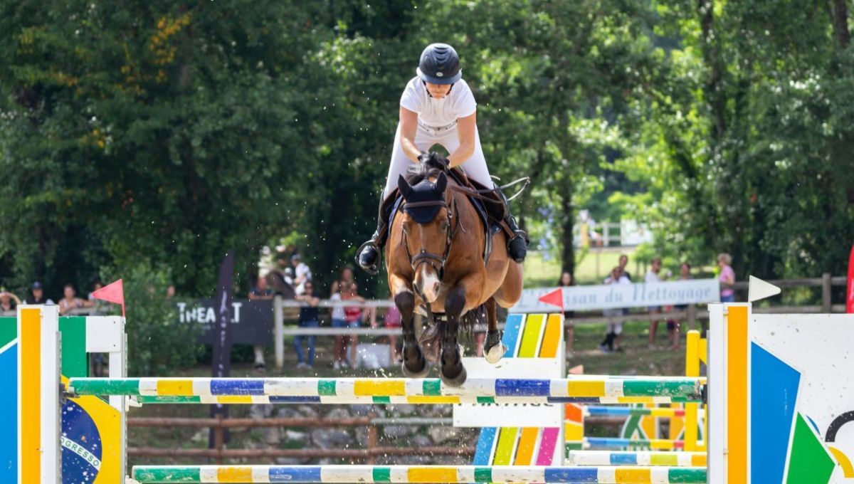 Le Repos des Hugogos, assure une retraite bien méritée aux chevaux âgés