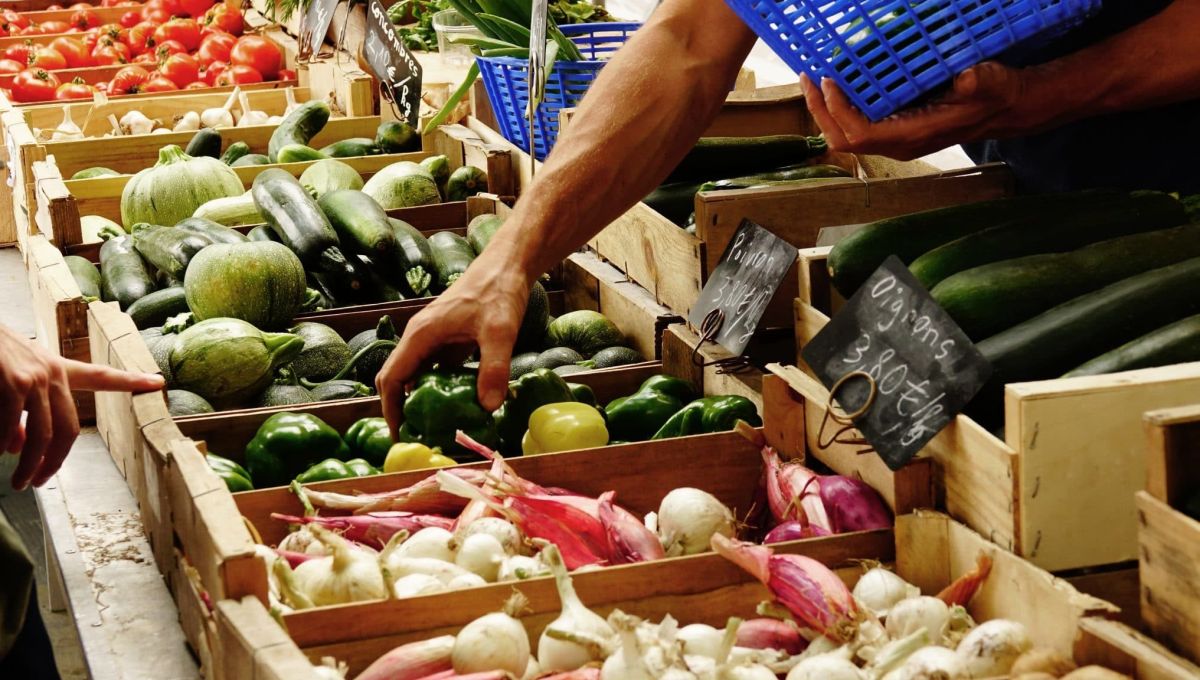 Manger sain, des légumes bio dans les marchés français