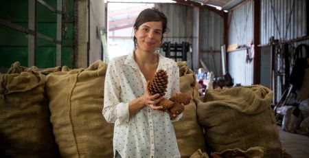 Découvrez l’huile de graine de pin maritime faite en Nouvelle Aquitaine