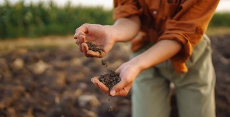 L’école du savoir vert : les jeunes sont-ils attirés par les métiers de la nature ?