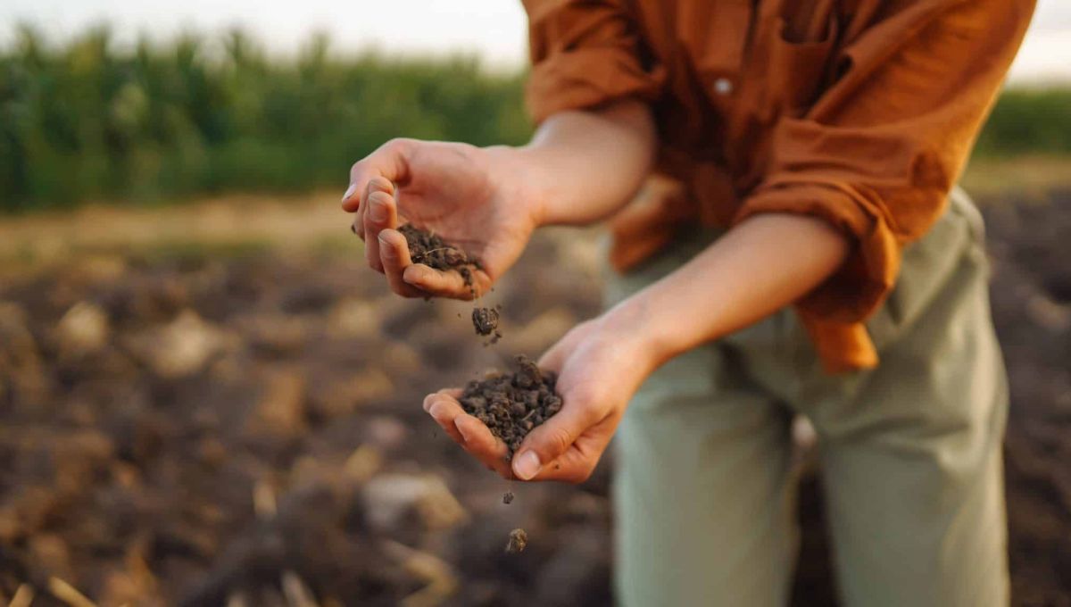 L’école du savoir vert : les jeunes sont-ils attirés par les métiers de la nature ?
