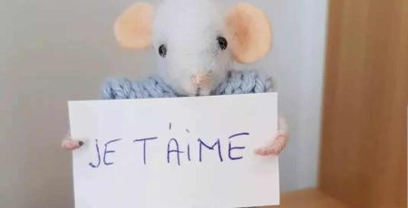 laine feutrée souris
