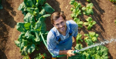 Homme qui arrose son potager