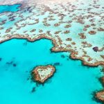 Scintillant sous la mer de corail limpide, la Grande Barrière de Corail, inscrite au patrimoine mondial de l’UNESCO.