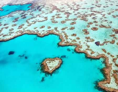 Scintillant sous la mer de corail limpide, la Grande Barrière de Corail, inscrite au patrimoine mondial de l’UNESCO.