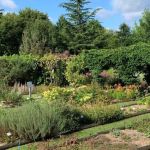 Milly-la-Forêt : immersion au cœur du Conservatoire des Plantes