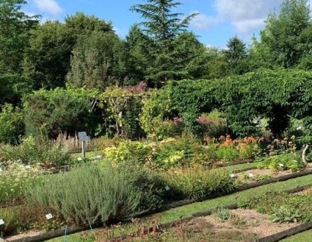 Milly-la-Forêt : immersion au cœur du Conservatoire des Plantes