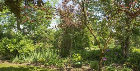 jardin de Mireille