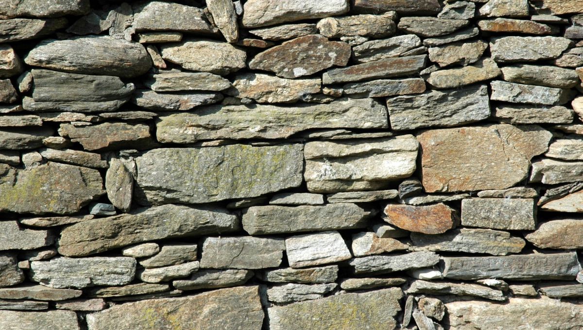 Découverte du métier d’artisan murailler