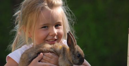 Châtillon-sur-Seine : éveiller et soigner avec la médiation animale 